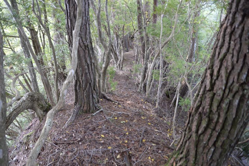 百草園と山の百樹木